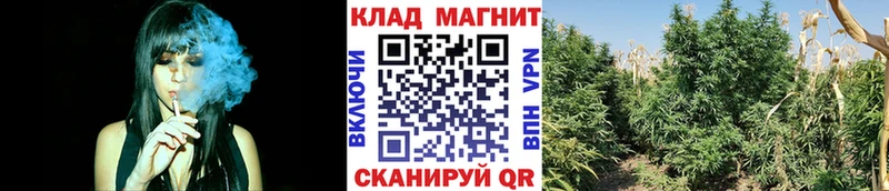 Продажа наркотиков Кондопога Канабис COCAIN СК Меф Гашиш