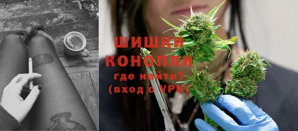 молекула духа Няндома