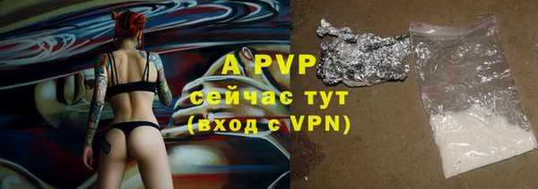 молекула духа Няндома