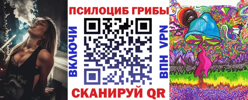 дарнет шоп  Кондопога  Галлюциногенные грибы Psilocybine cubensis 