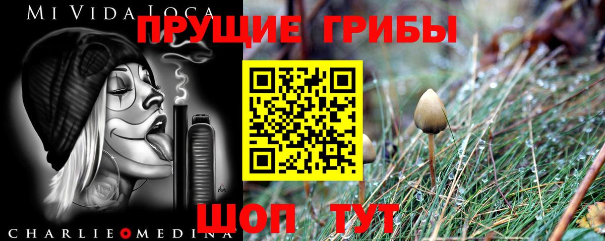 Кондопога  Галлюциногенные грибы Psilocybe  Вход с VPN 