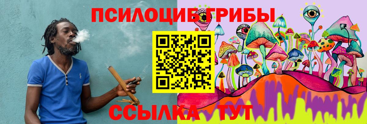 Псилоцибиновые грибы Psilocybine cubensis Кондопога