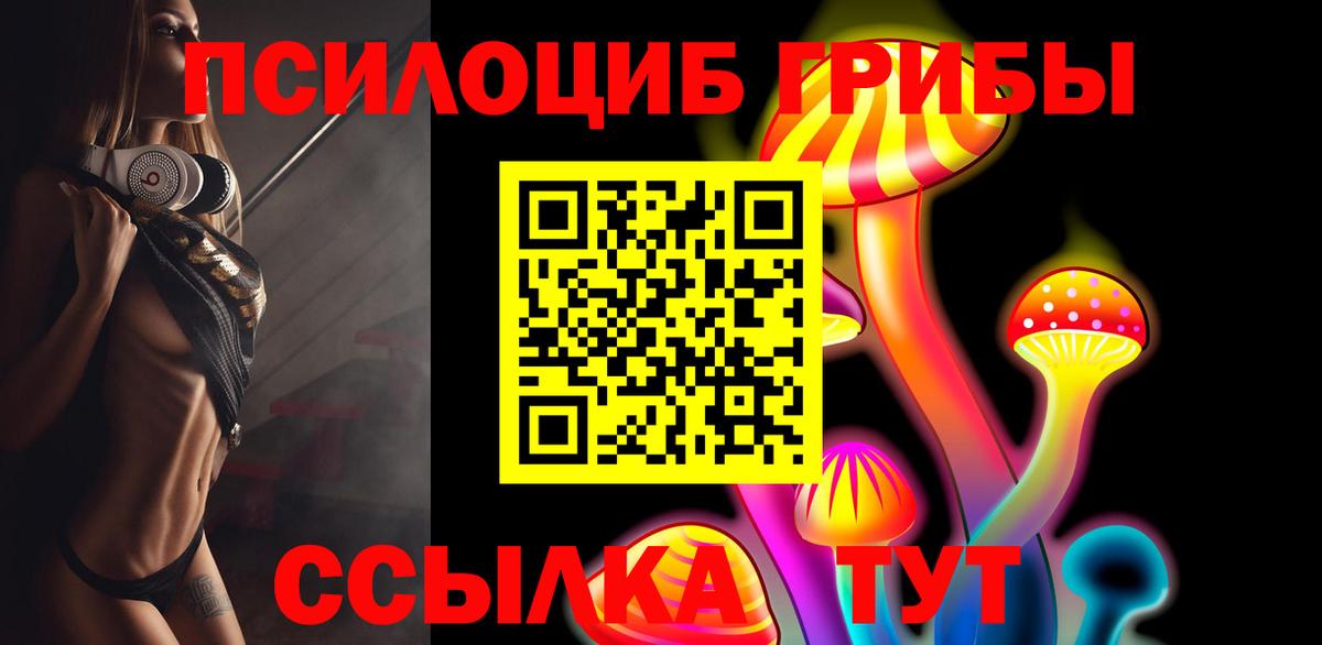 Псилоцибиновые грибы Psilocybe Кондопога